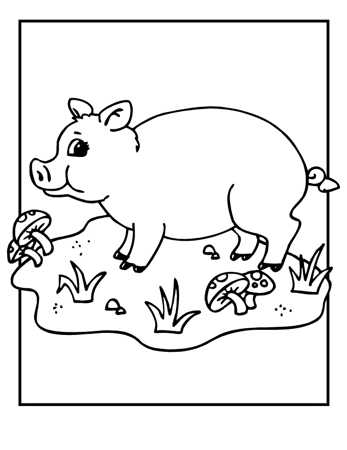 Plansa de colorat cu Porc 16 8